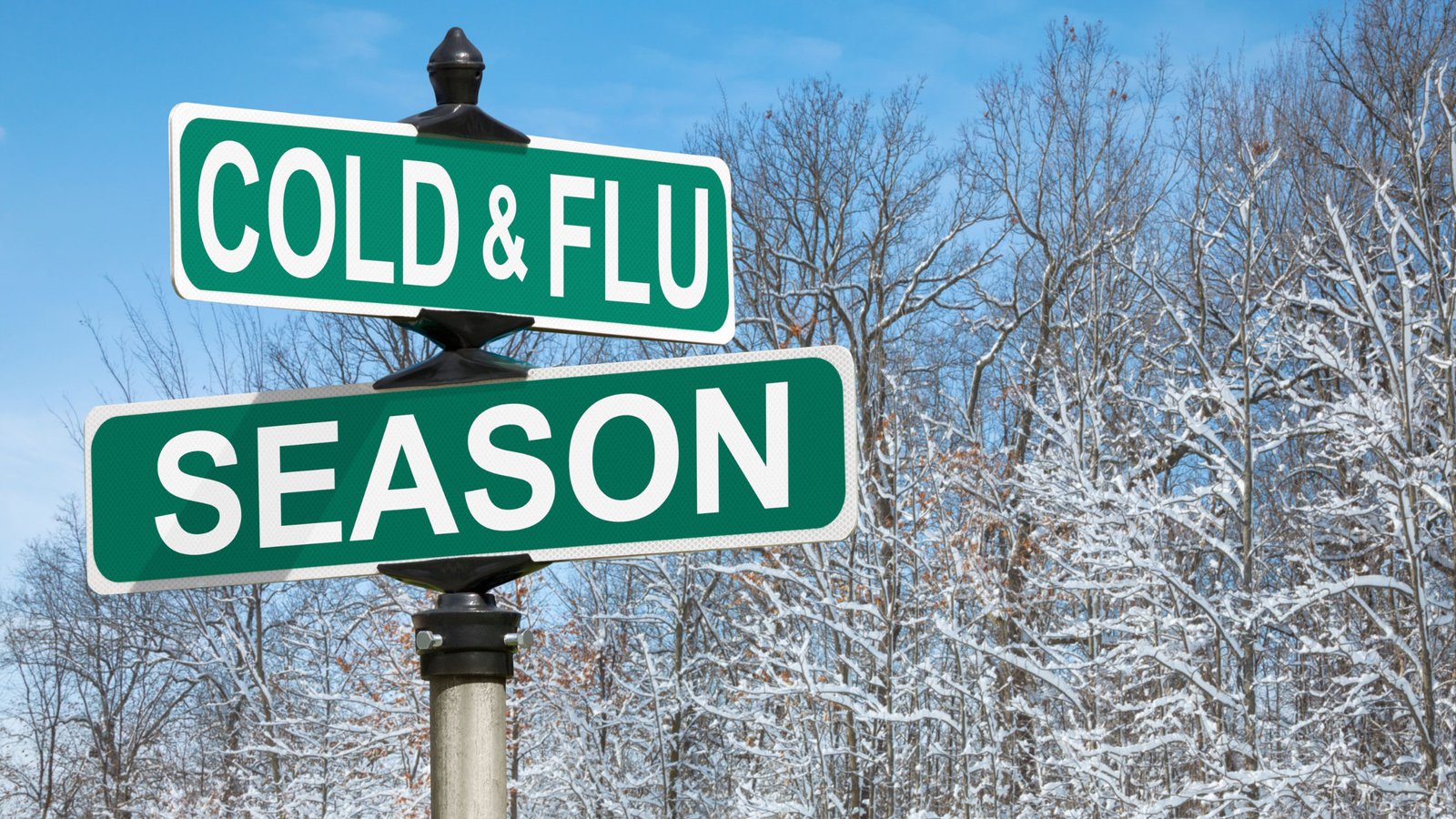 Cold and flu season signs on green
