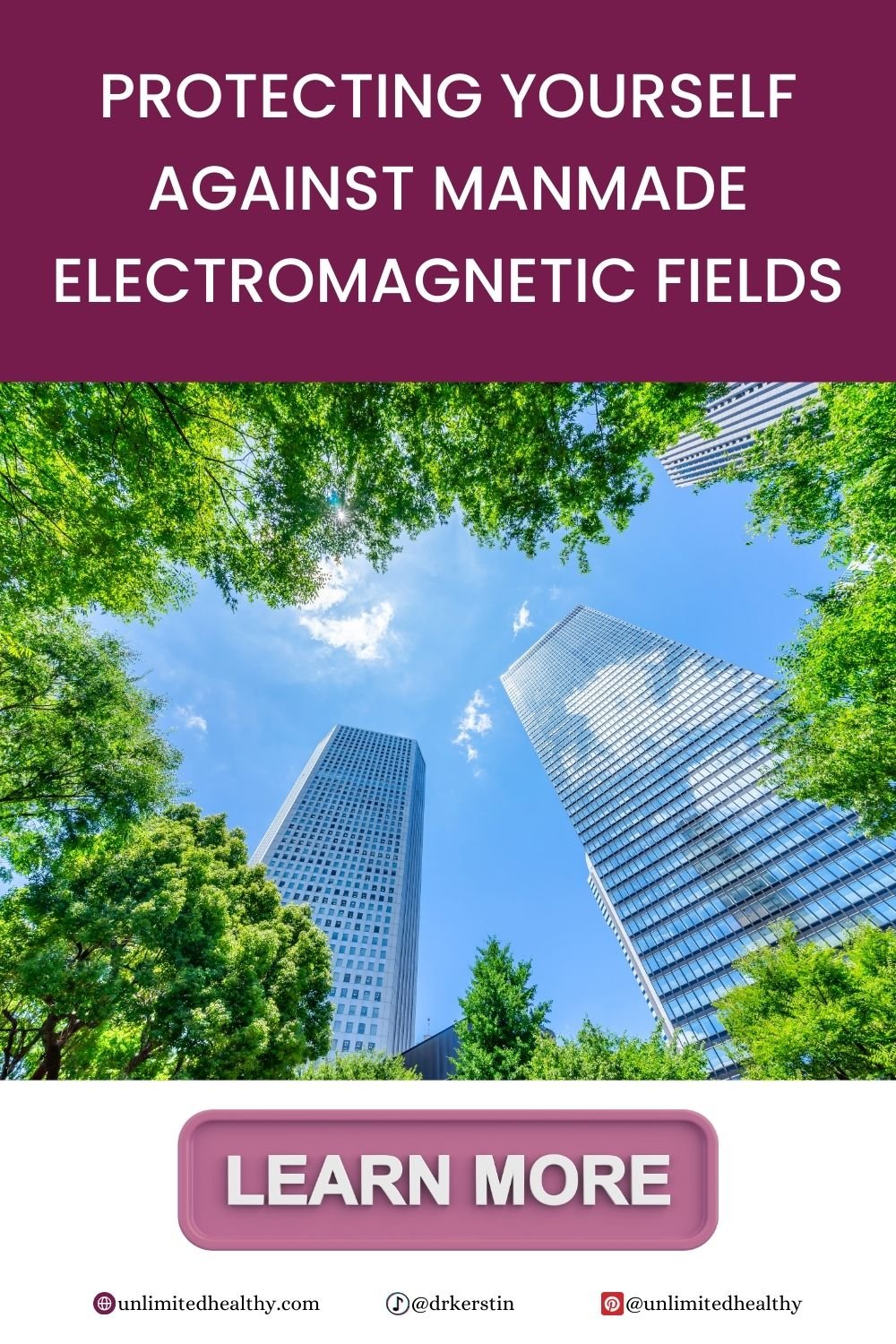 Protecting Yourself Against Manmade Electromagnetic Fields Pin