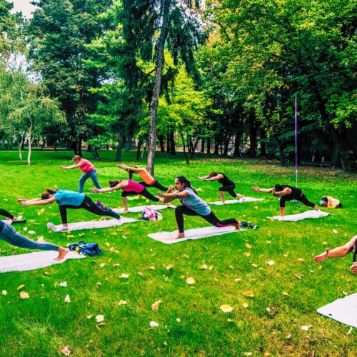 The Chiropractic Measure of Health