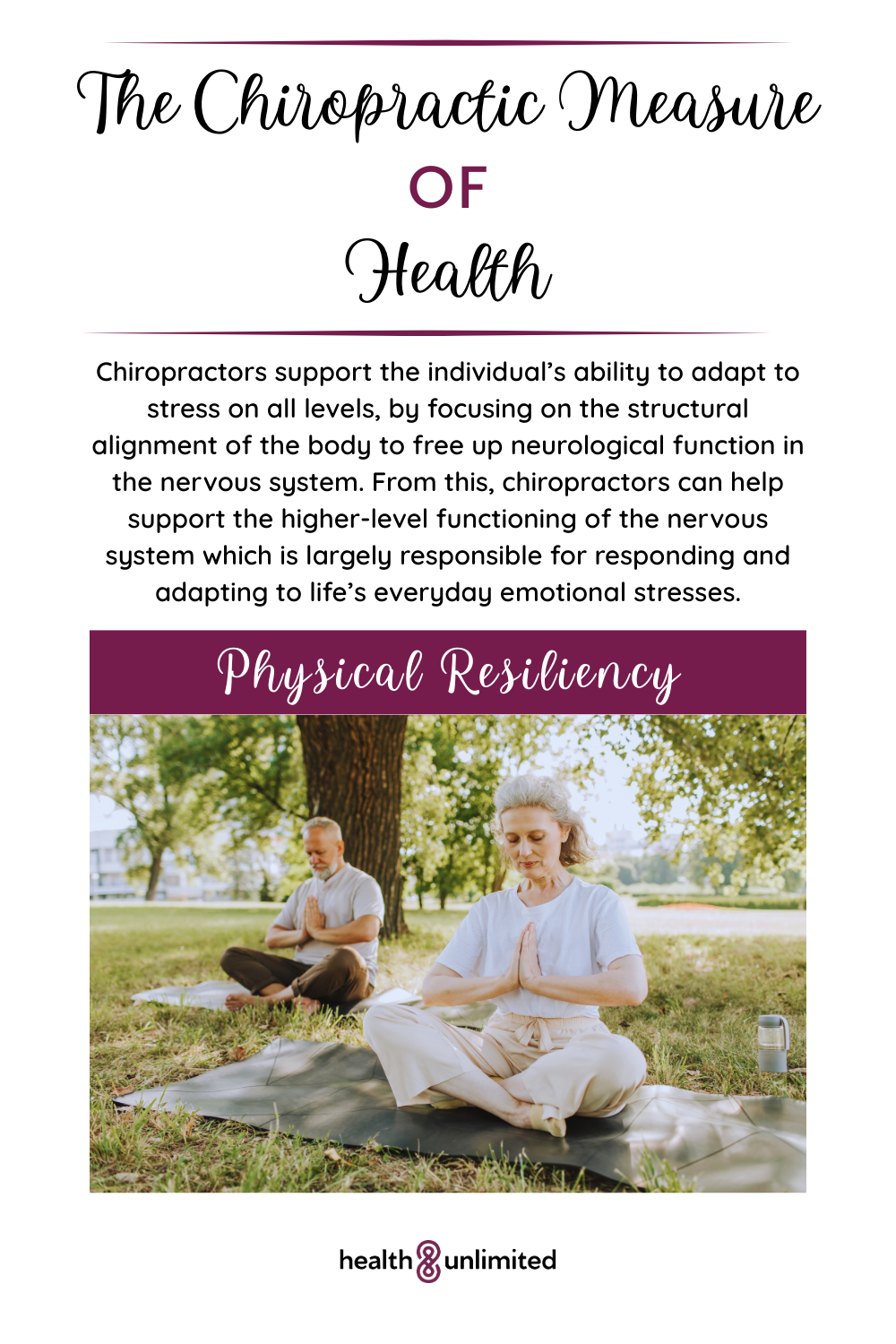 The Chiropractic Measure of Health Pin